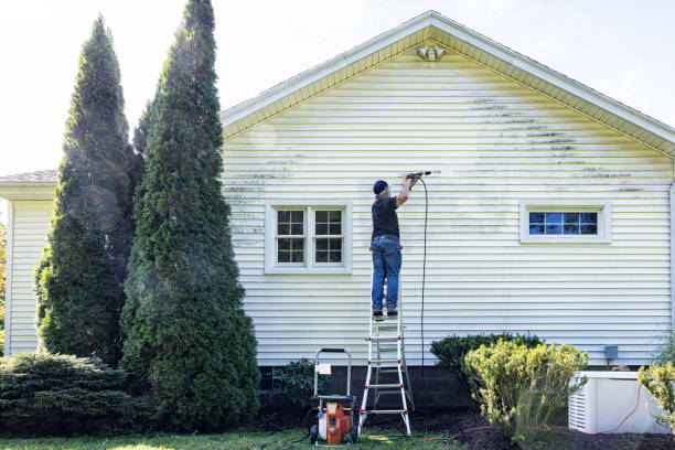 Best Fence Cleaning and Maintenance in Lockport Heights, IL